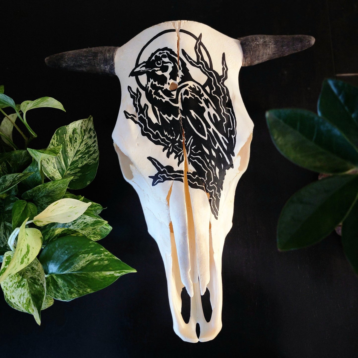 Handpainted Cow Skull - Eccentric Garden
