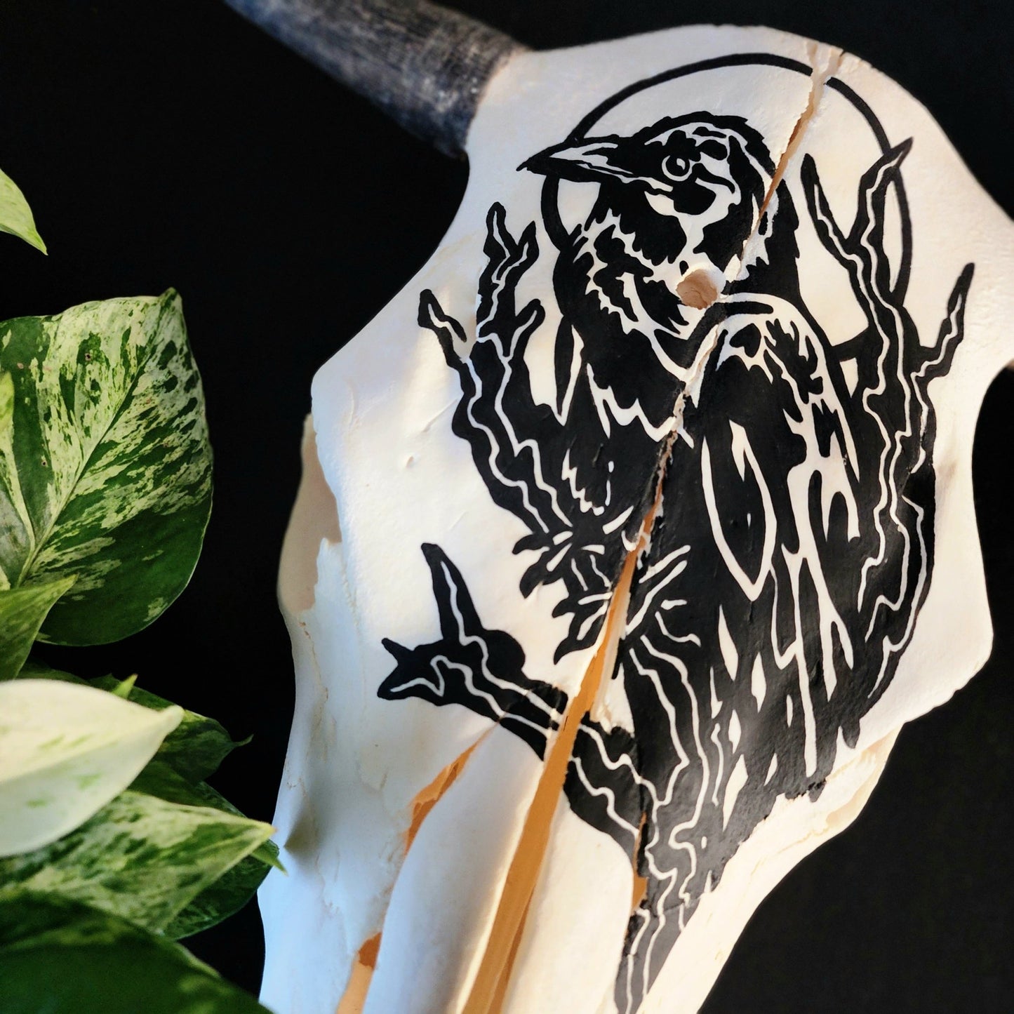 Handpainted Cow Skull - Eccentric Garden