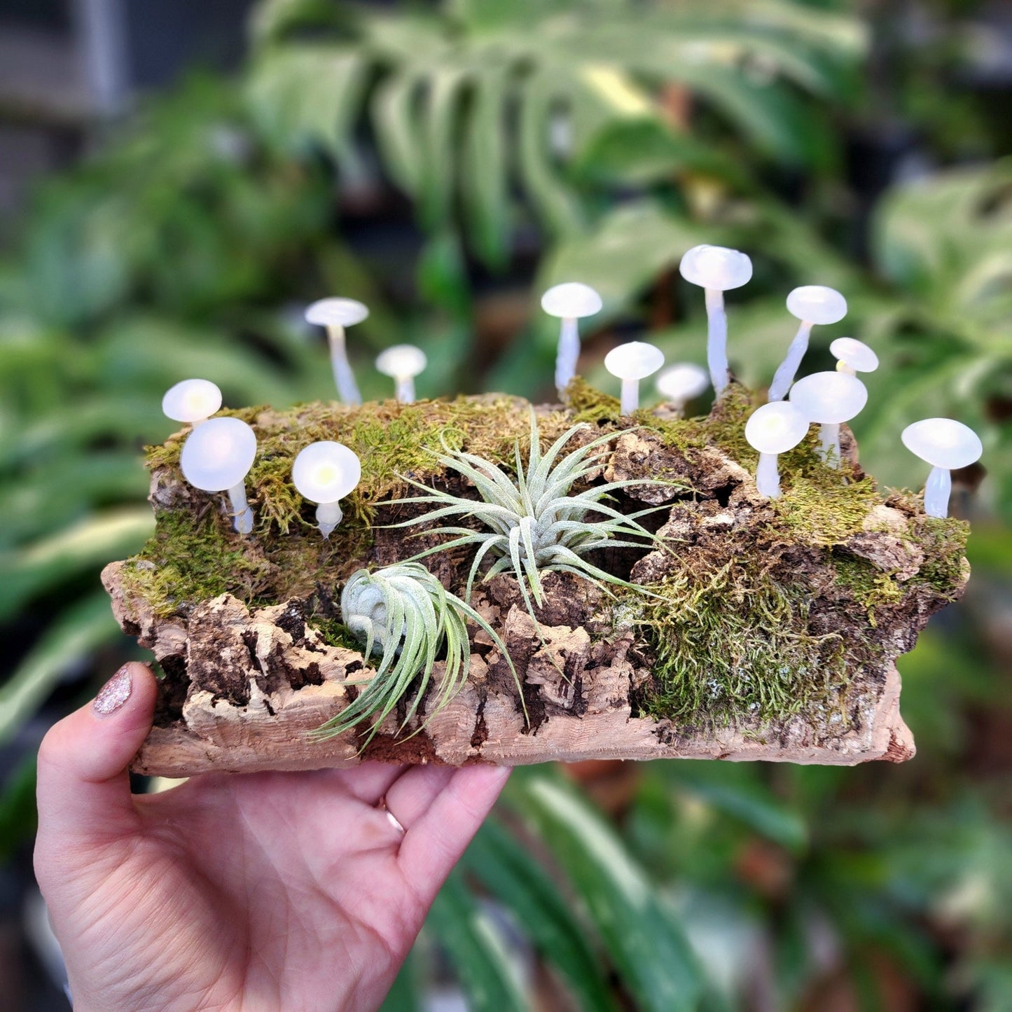 Moss and Mushroom Air Plant Workshop - Saturday April 5th, 4 - 6pm - Eccentric Garden