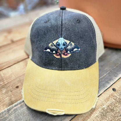 Saturniid Moth Distressed Ball Cap