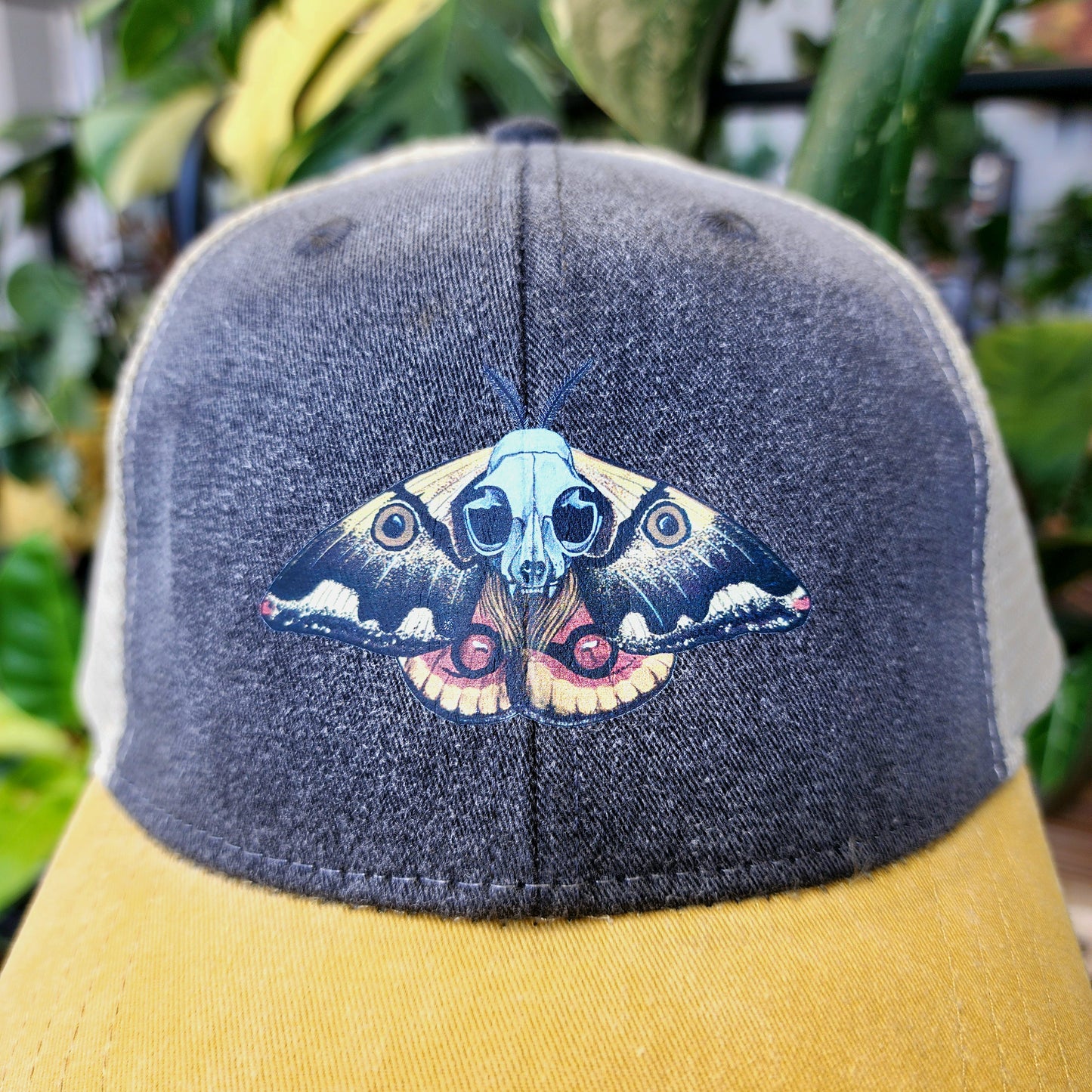 Saturniid Moth Distressed Ball Cap