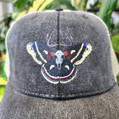 Crecropia Moth Distressed Ball Cap