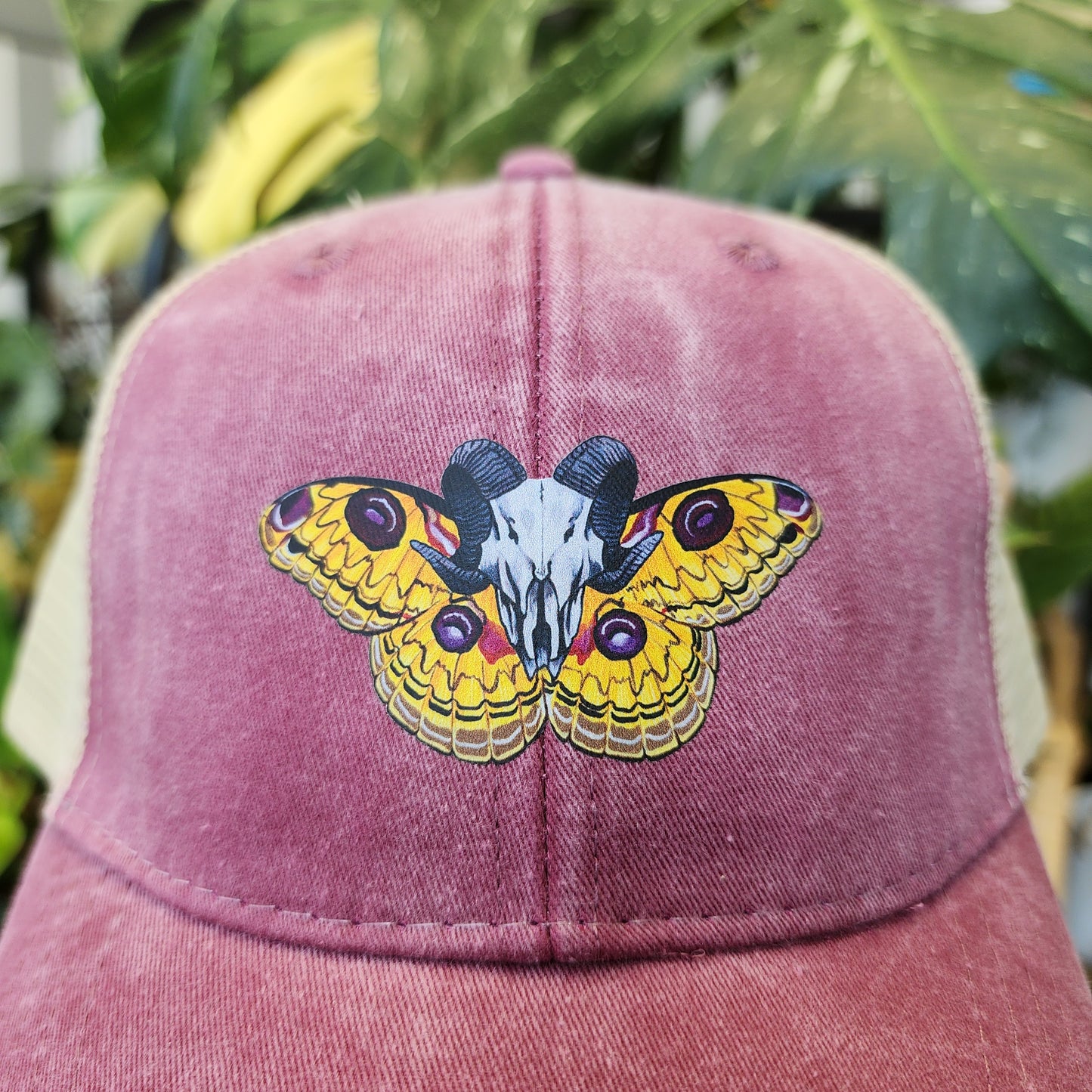 Tussar Silk Moth Distressed Ball Cap