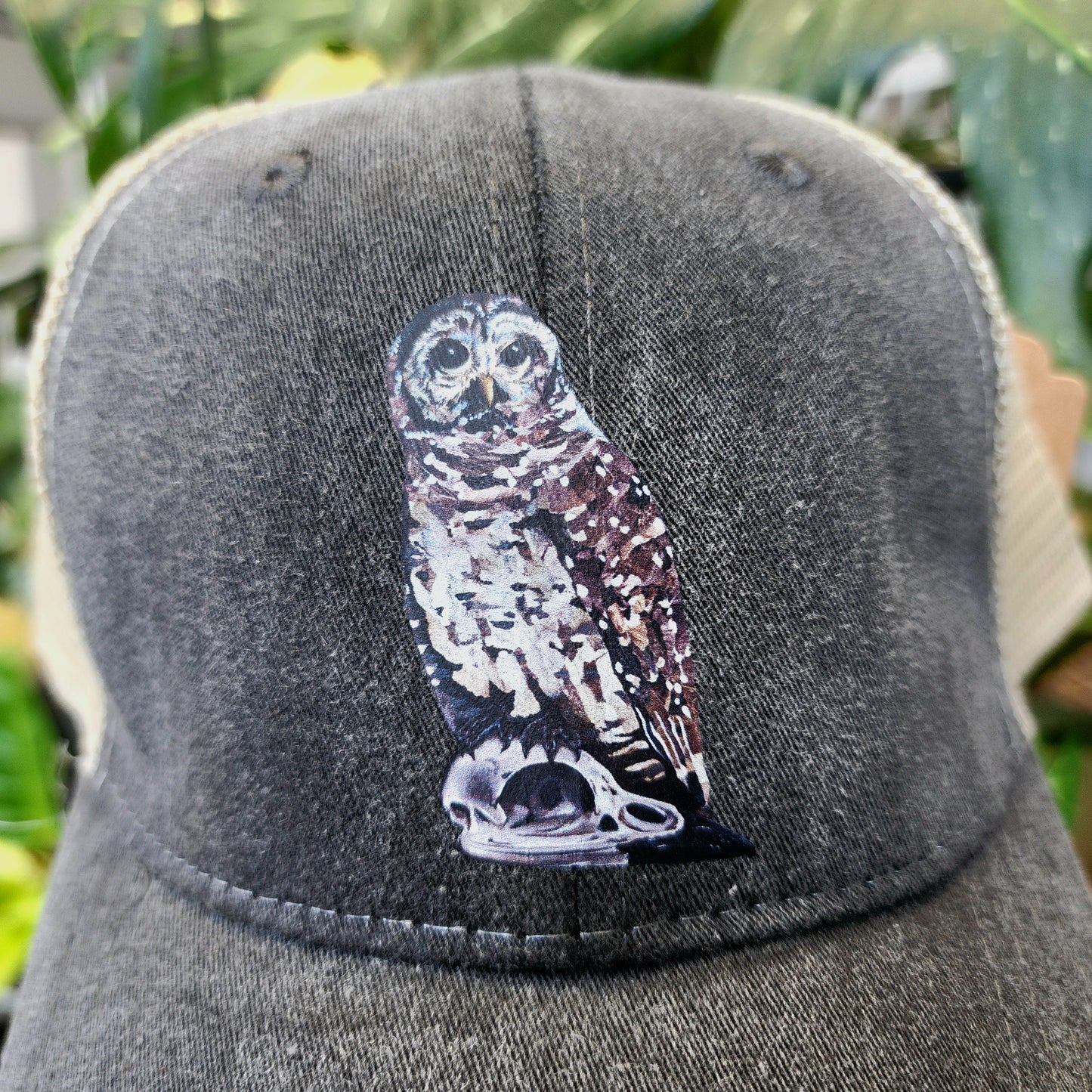 Owl and Bones Distressed Ball Cap