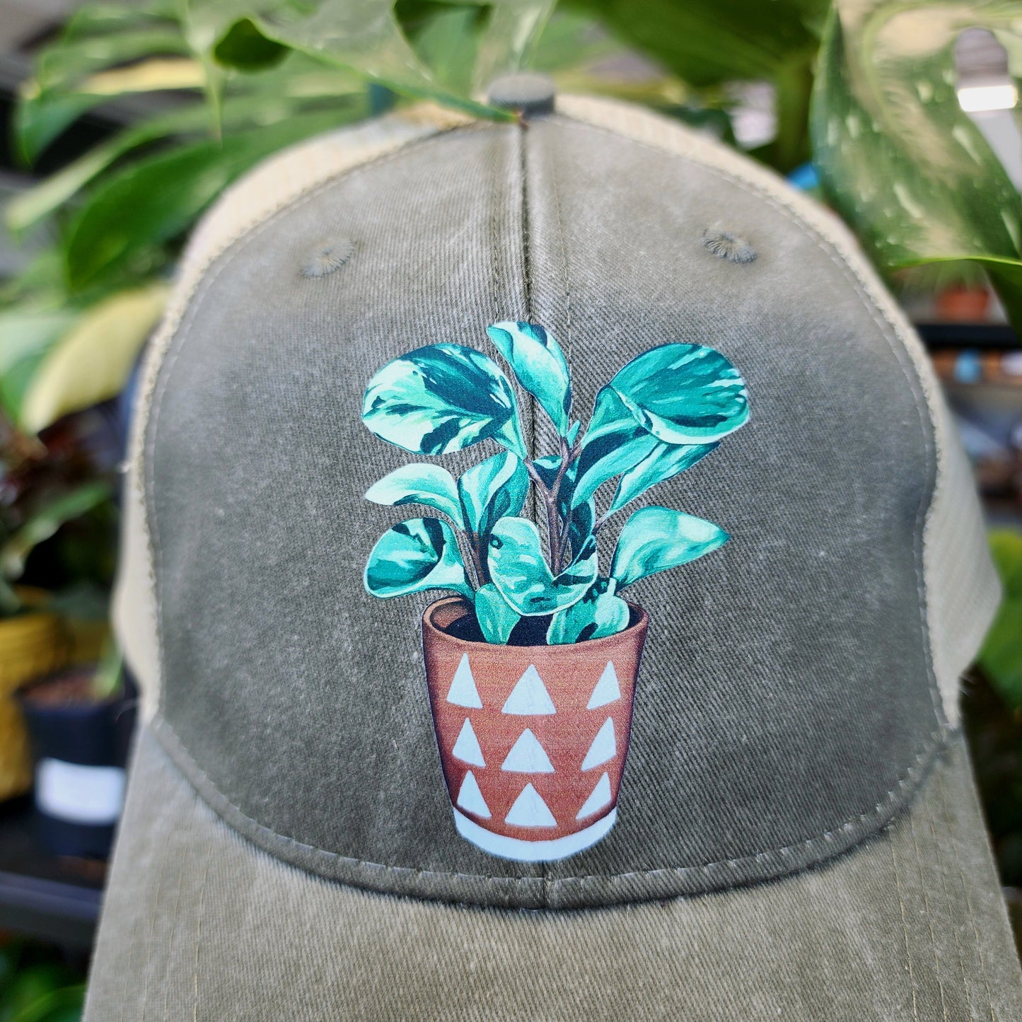 Peperomia Distressed Ball Cap