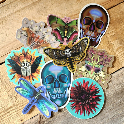 2.5" Sticker Bundle - Eccentric Garden