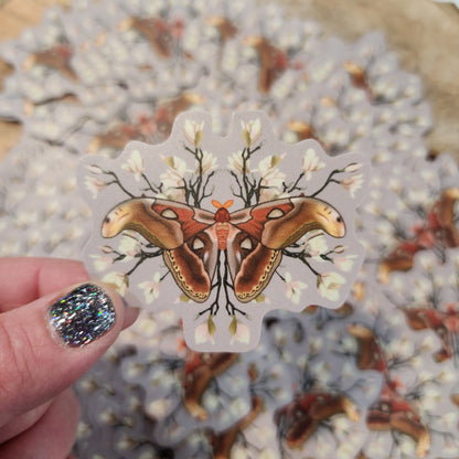 Atlas Moth Sticker