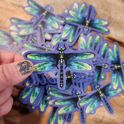 Dragonfly Sticker