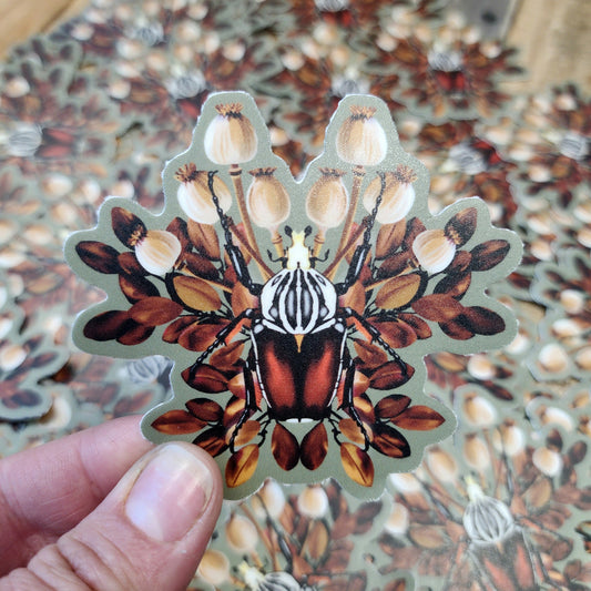 Goliath Beetle Sticker