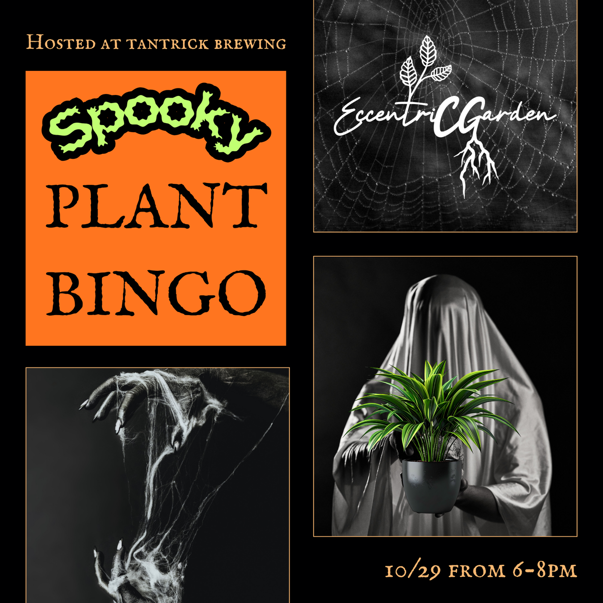 Plant Bingo Thursday October 29th from 6-8pm