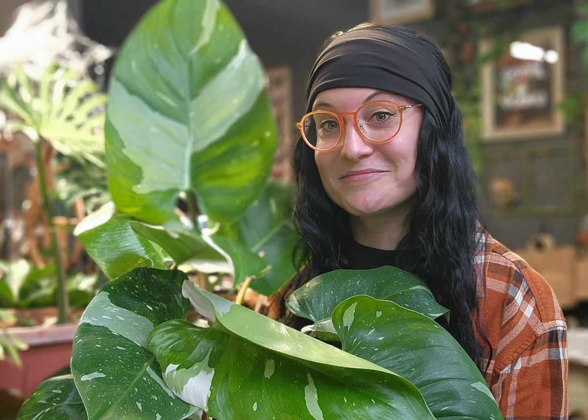 A woman with long dark hair, a black headband, and orange-rimmed glasses smiles while holding a large green variegated houseplant in a shop filled with other plants.