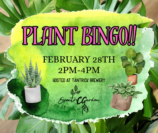 Plant Bingo Saturday February 28th from 2-4pm