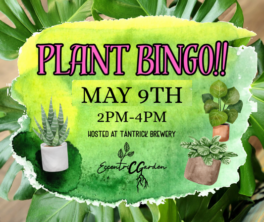 Plant Bingo Saturday May 9th from 2-4pm
