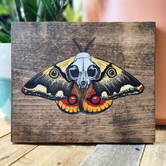 Saturniid Moth Original Painting