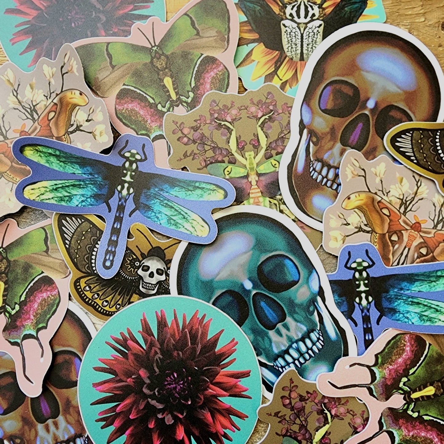 Atlas Moth Sticker - Eccentric Garden