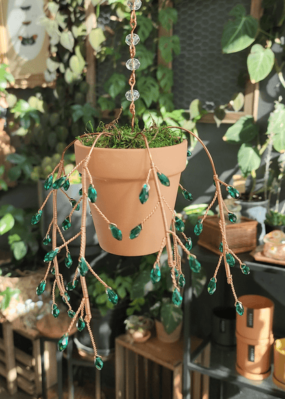 Beaded Succulent Workshop - Saturday, May 3rd 4 - 6pm - Eccentric Garden