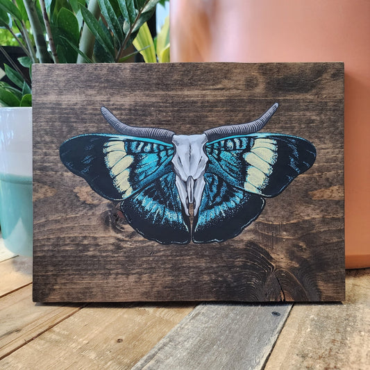 Blue Prola Beauty Moth Original Painting - Eccentric Garden
