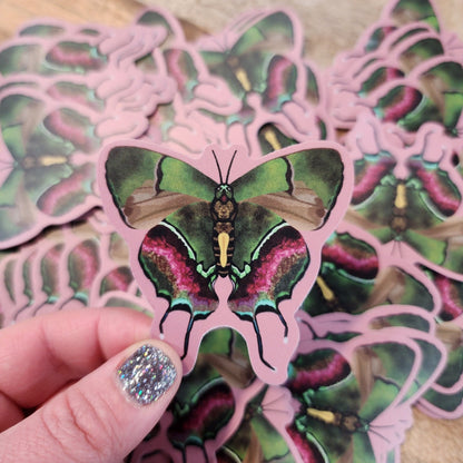 Butterfly Sticker - Eccentric Garden