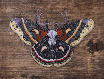 Cecropia Moth Original Painting - Eccentric Garden