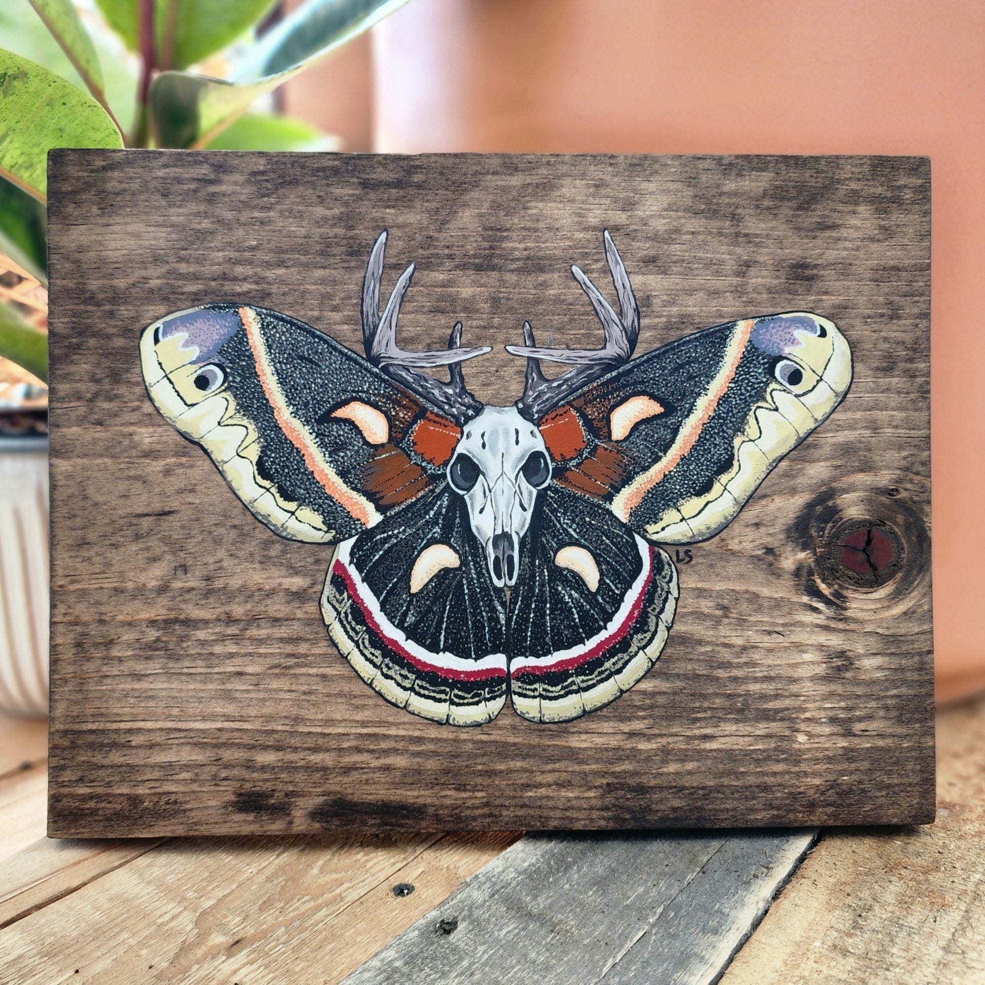 Cecropia Moth Original Painting - Eccentric Garden