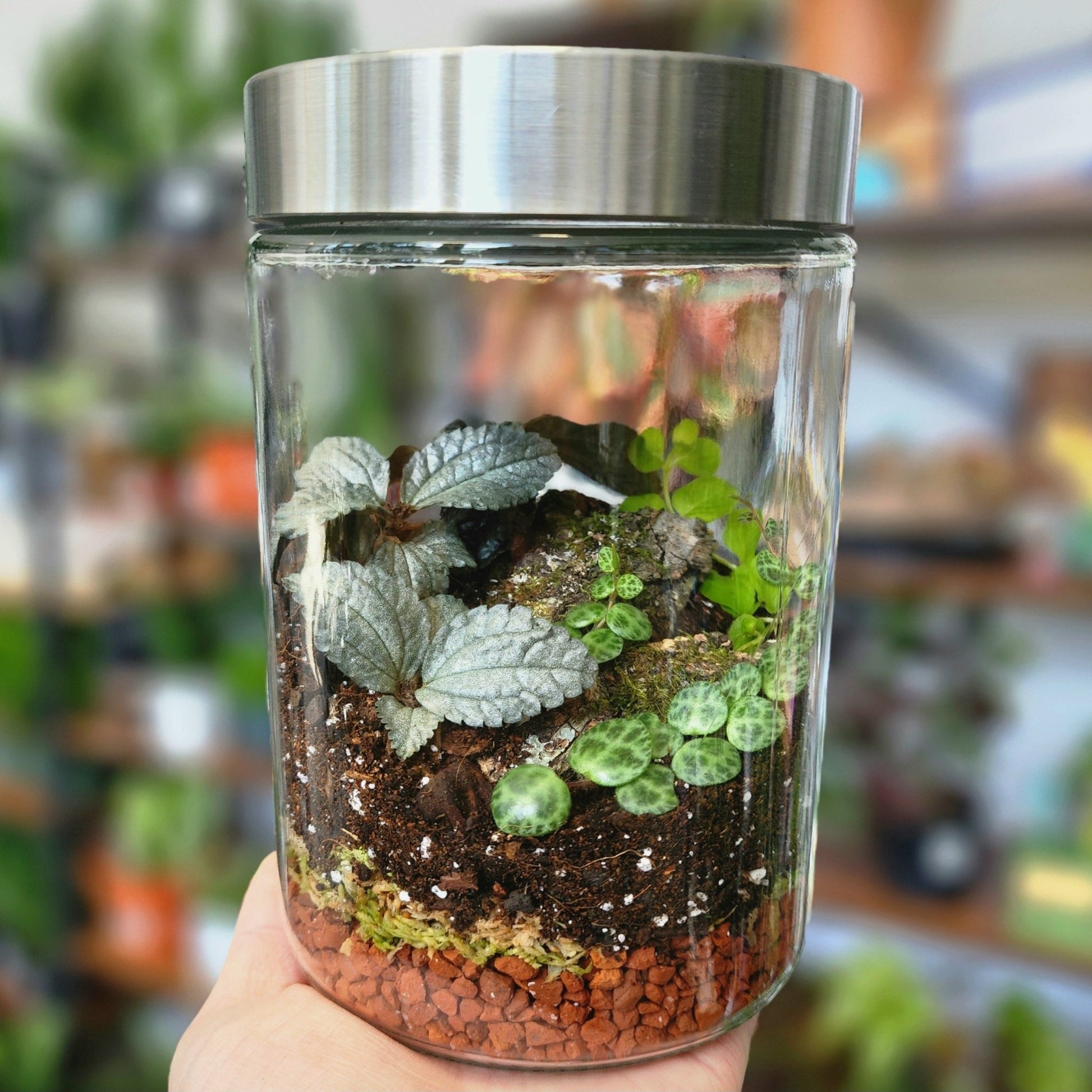 Enclosed Terrarium Class - Eccentric Garden