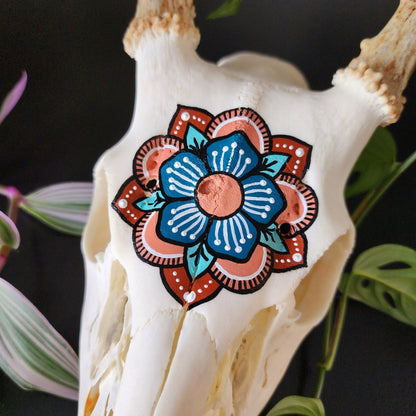 Handpainted Deer Skull - Eccentric Garden