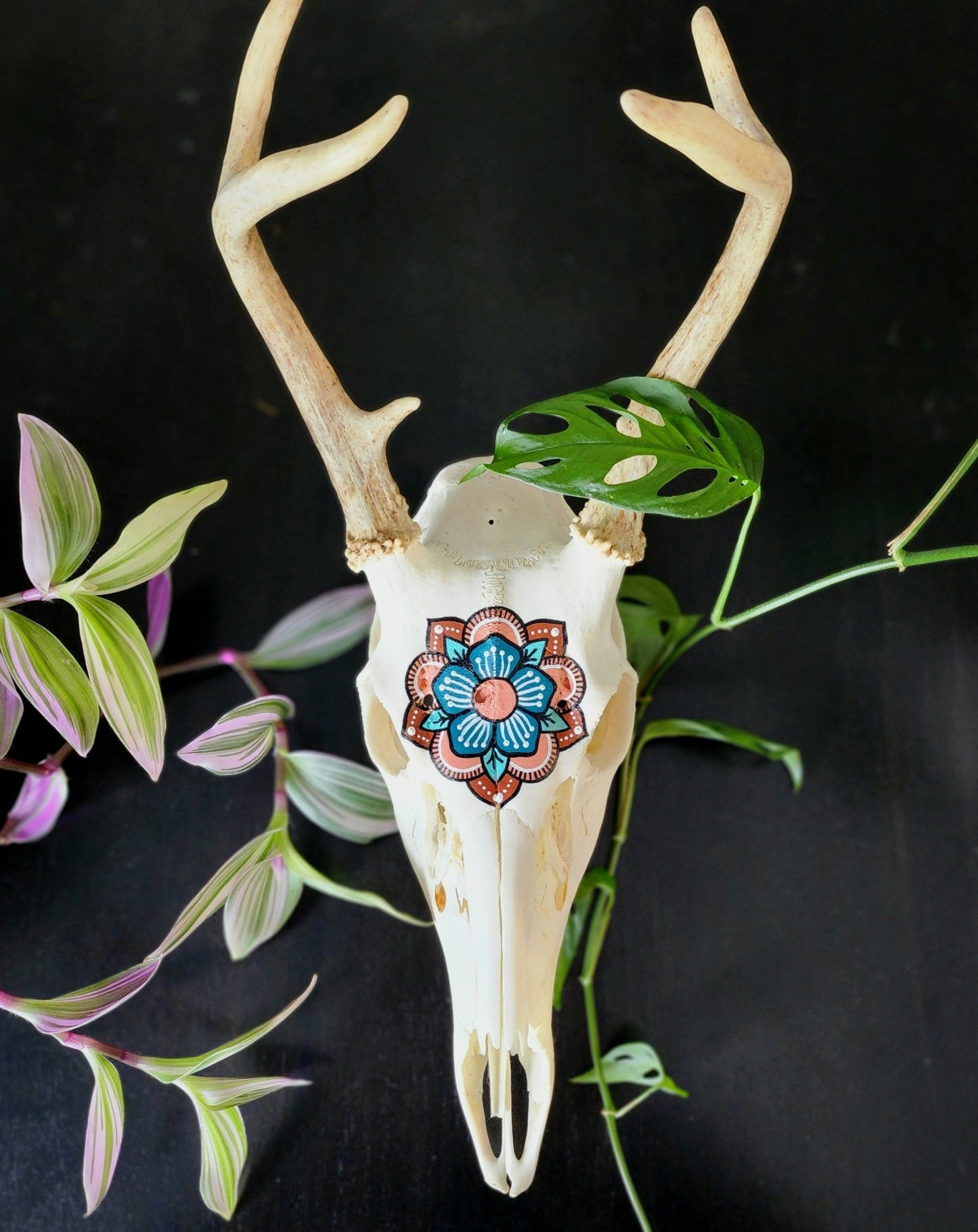 Handpainted Deer Skull - Eccentric Garden