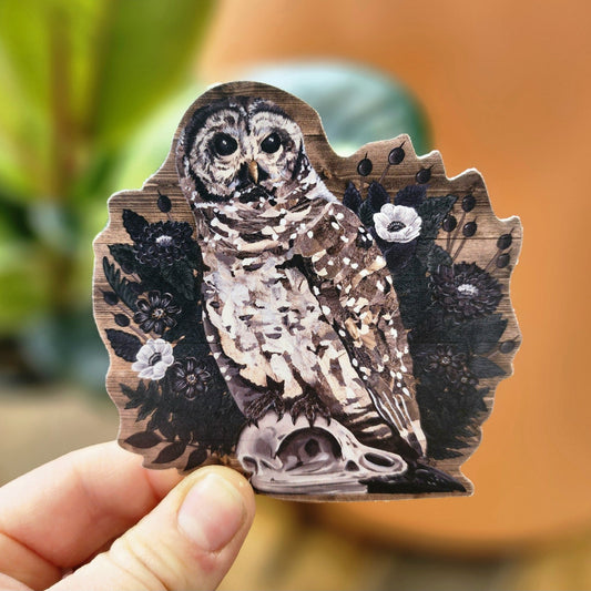 Owl Skull Sticker - Eccentric Garden