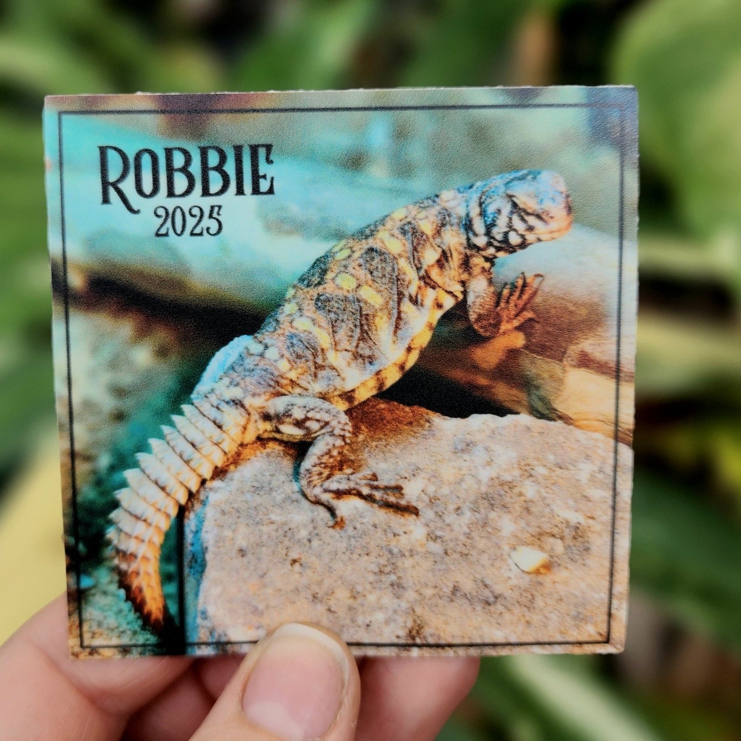 Robbie Sticker - Eccentric Garden