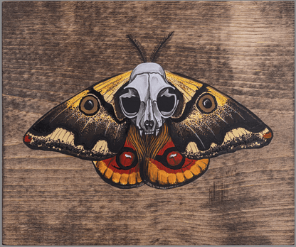 Saturniid Moth Original Painting - Eccentric Garden