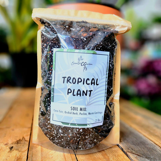 Tropical Plant Soil Mix - Eccentric Garden