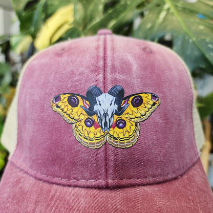 Tussar Silk Moth Distressed Ball Cap - Eccentric Garden