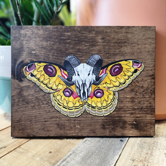 Tussar Silk Moth Original Painting - Eccentric Garden